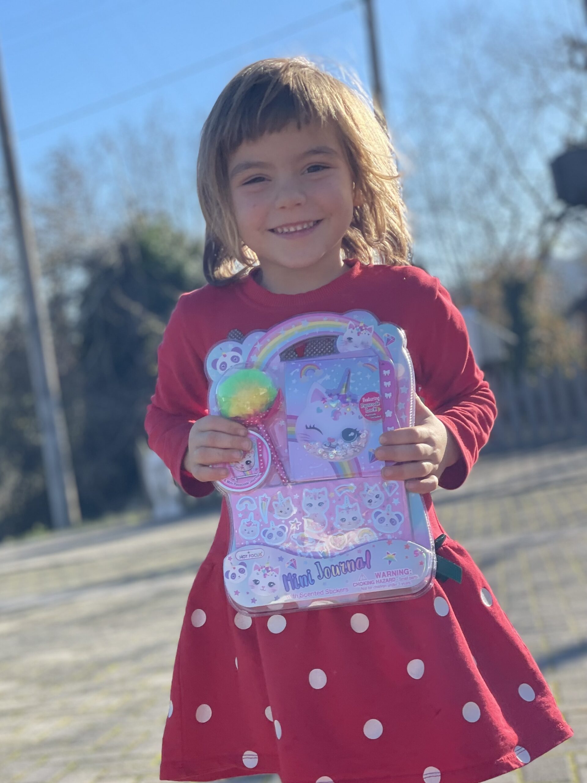 29D321A0-F980-4C1E-94AC-43F43D6C0F62_1_201_a